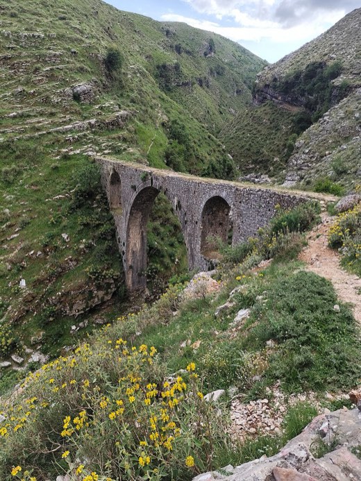 Ali Pasha Bridge