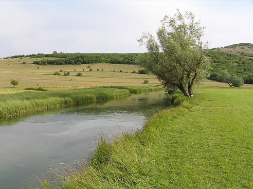 Sturba river, Livno