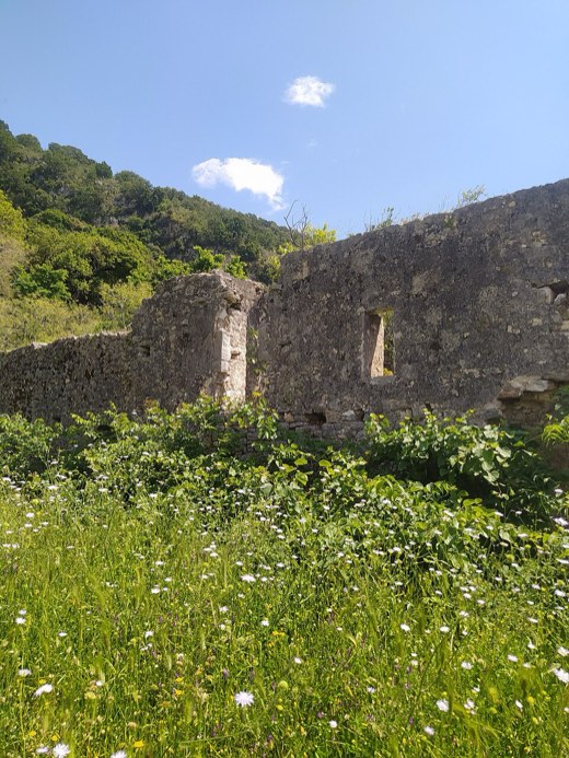 Krorëza