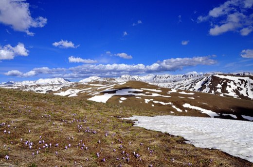 Šar Mountains